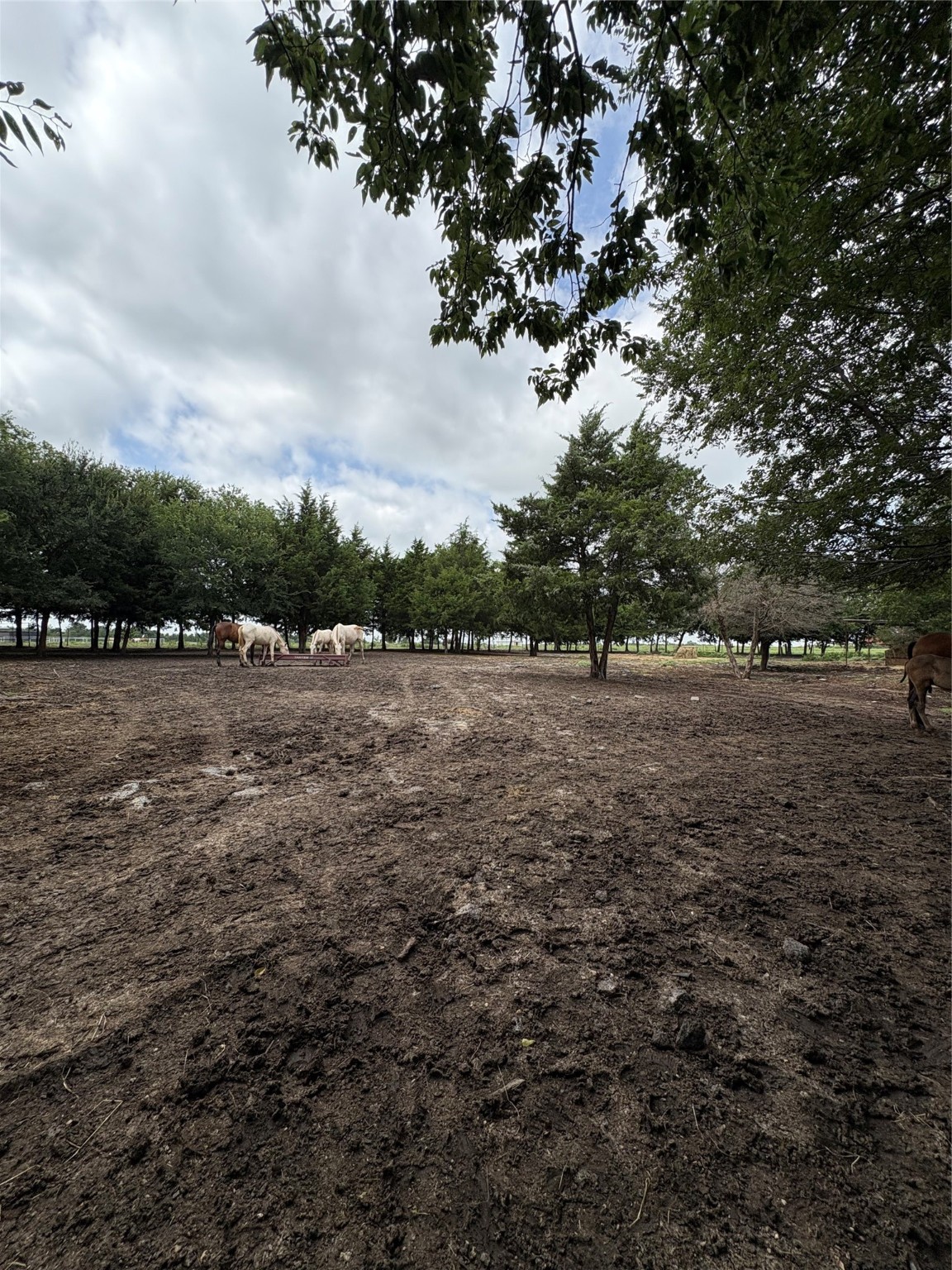 Tbd Palmyra Road Palmer TX 75152