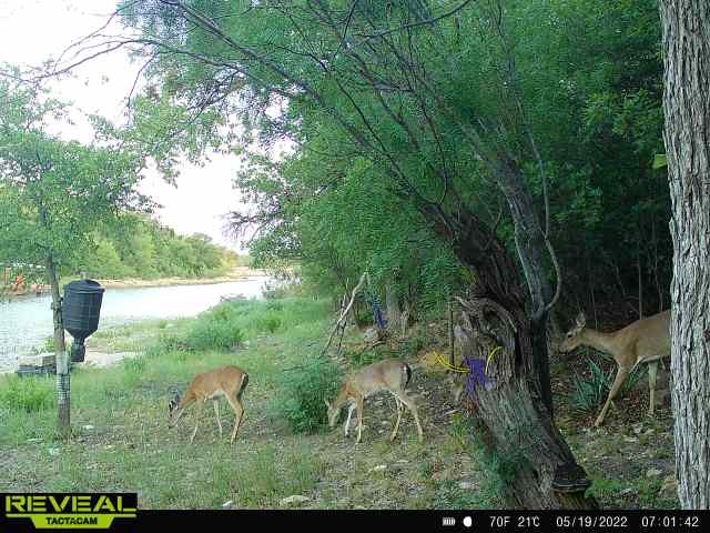 6996 Shamrock Drive Brownwood TX 76801