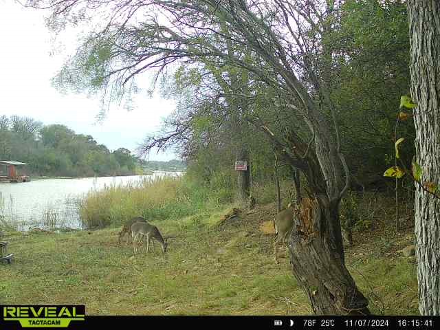 6996 Shamrock Drive Brownwood TX 76801
