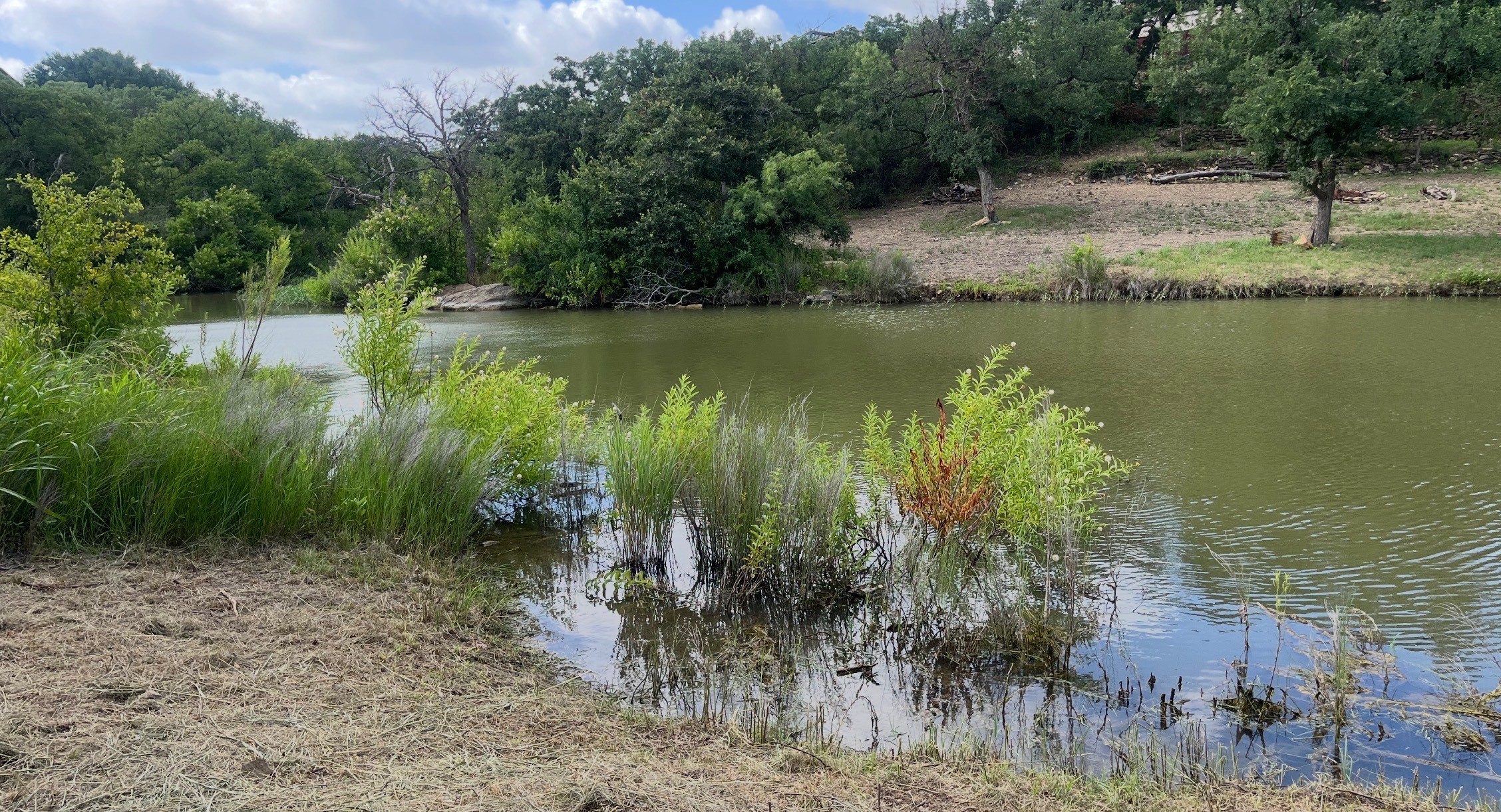 6996 Shamrock Drive Brownwood TX 76801