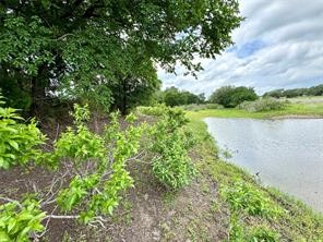 1145 Hidden Cove Trail Glen Rose TX 76043