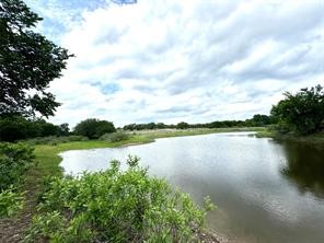 1145 Hidden Cove Trail Glen Rose TX 76043