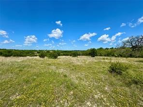 1145 Hidden Cove Trail Glen Rose TX 76043