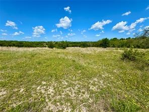 1145 Hidden Cove Trail Glen Rose TX 76043