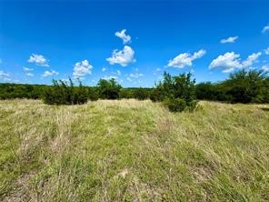1145 Hidden Cove Trail Glen Rose TX 76043