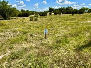 1145 Hidden Cove Trail Glen Rose TX 76043