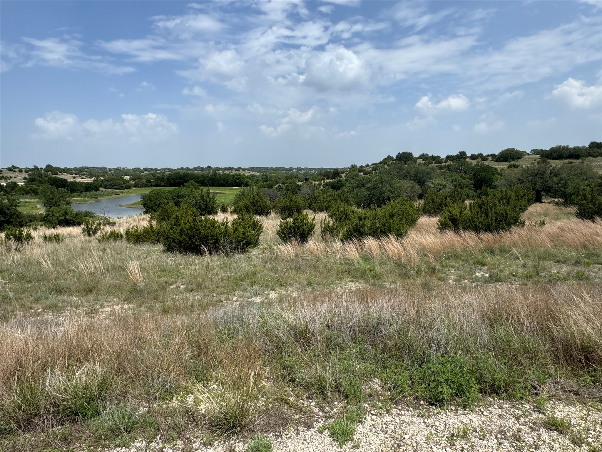 1145 Hidden Cove Trail Glen Rose TX 76043