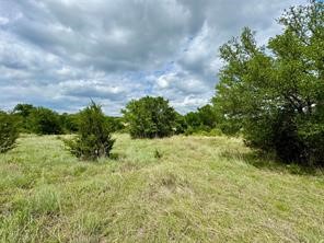 1145 Hidden Cove Trail Glen Rose TX 76043