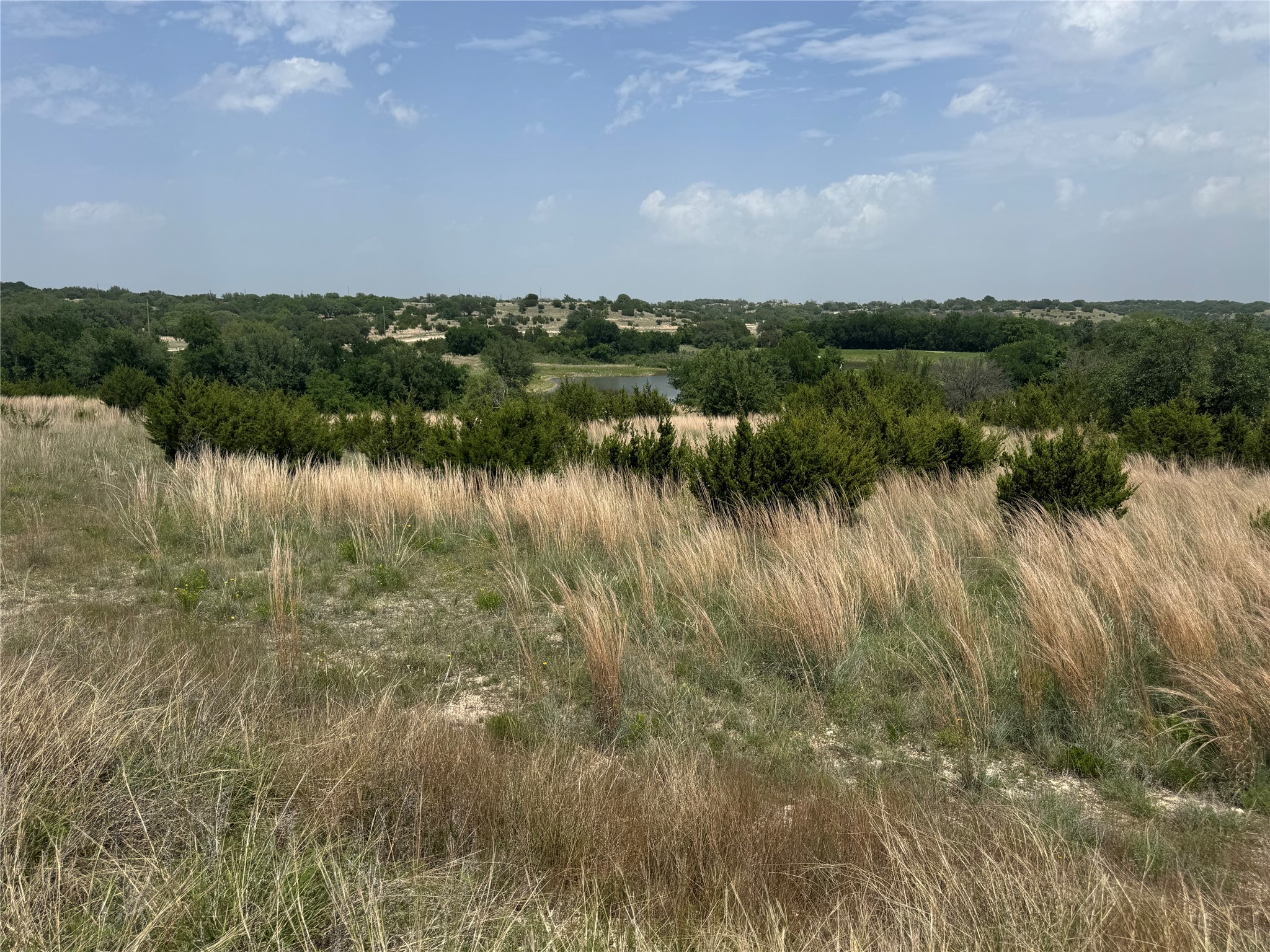 1145 Hidden Cove Trail Glen Rose TX 76043