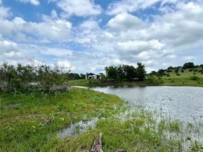 1145 Hidden Cove Trail Glen Rose TX 76043