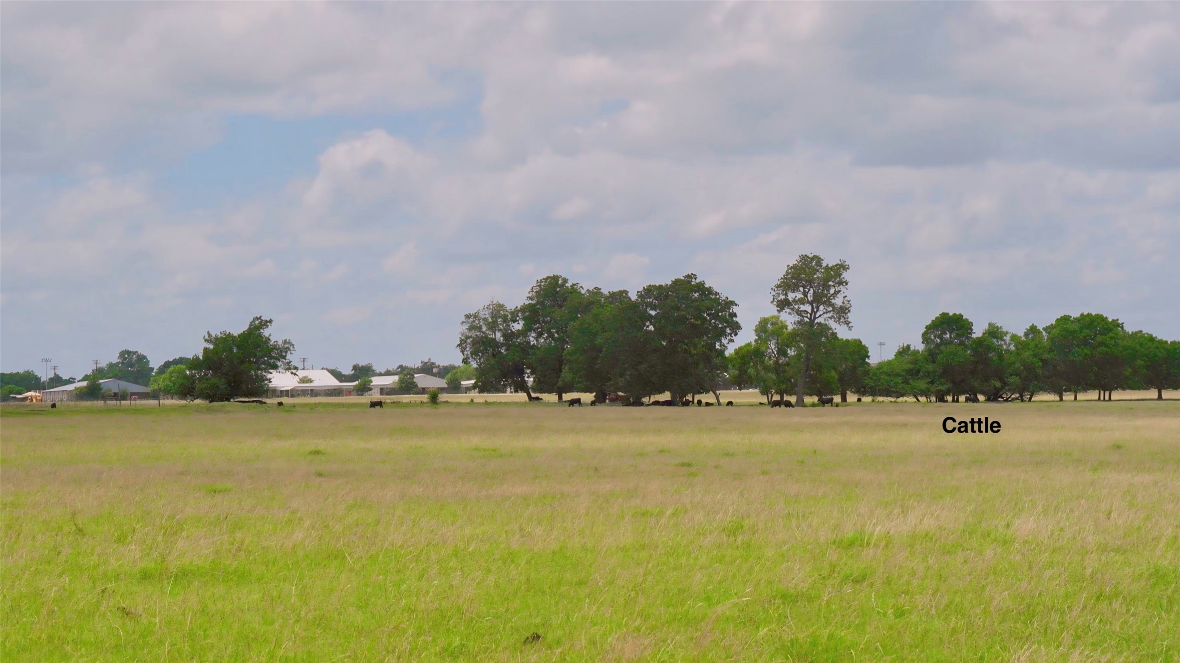 TRACT-10 E Main Street Highway 56 Honey Grove TX 75446