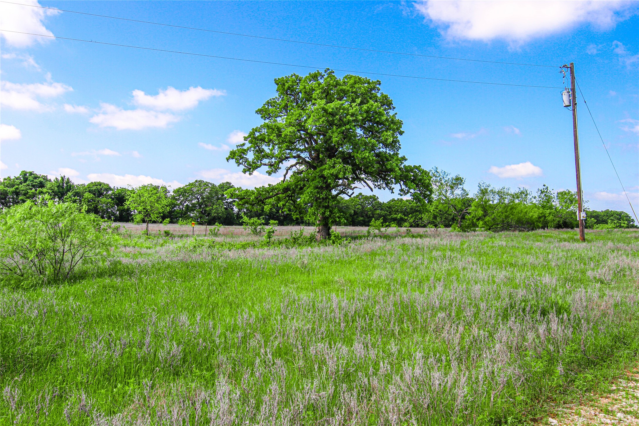 Tbd County Road 1792 Sunset TX 76270