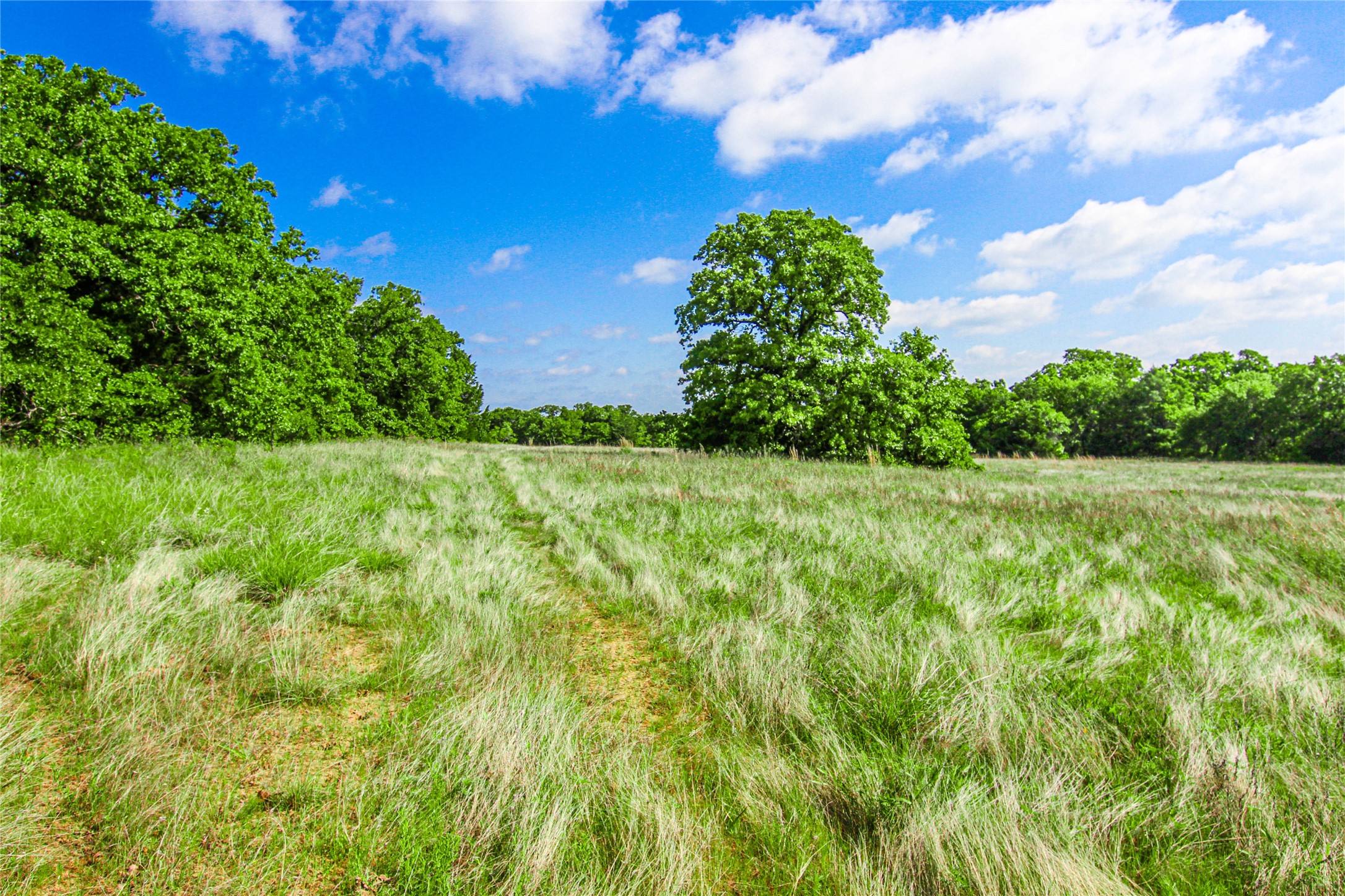 Tbd County Road 1792 Sunset TX 76270