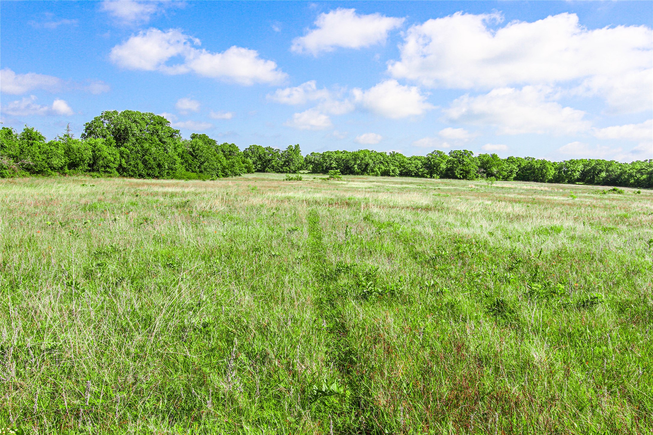 Tbd County Road 1792 Sunset TX 76270