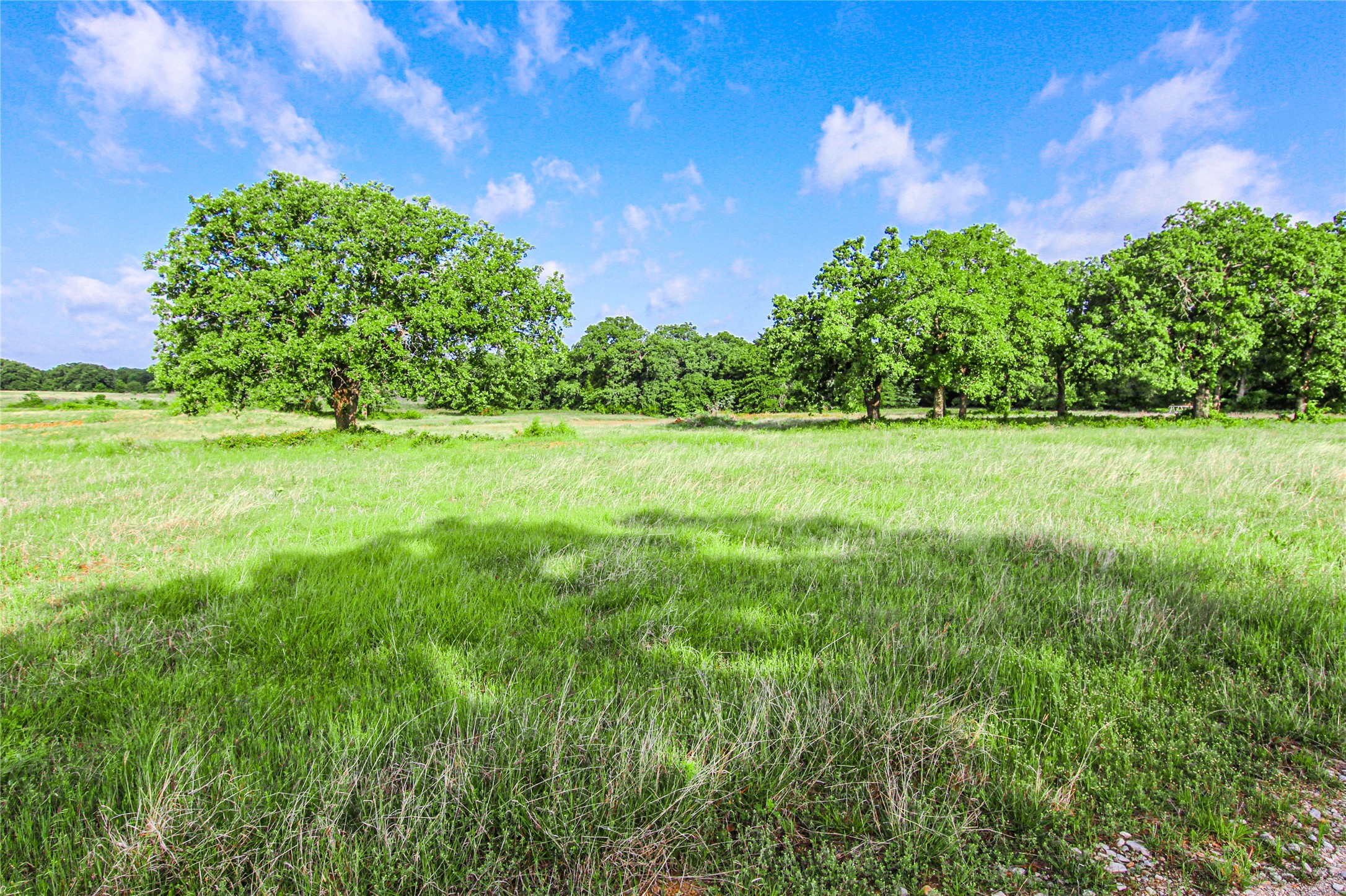 Tbd County Road 1792 Sunset TX 76270