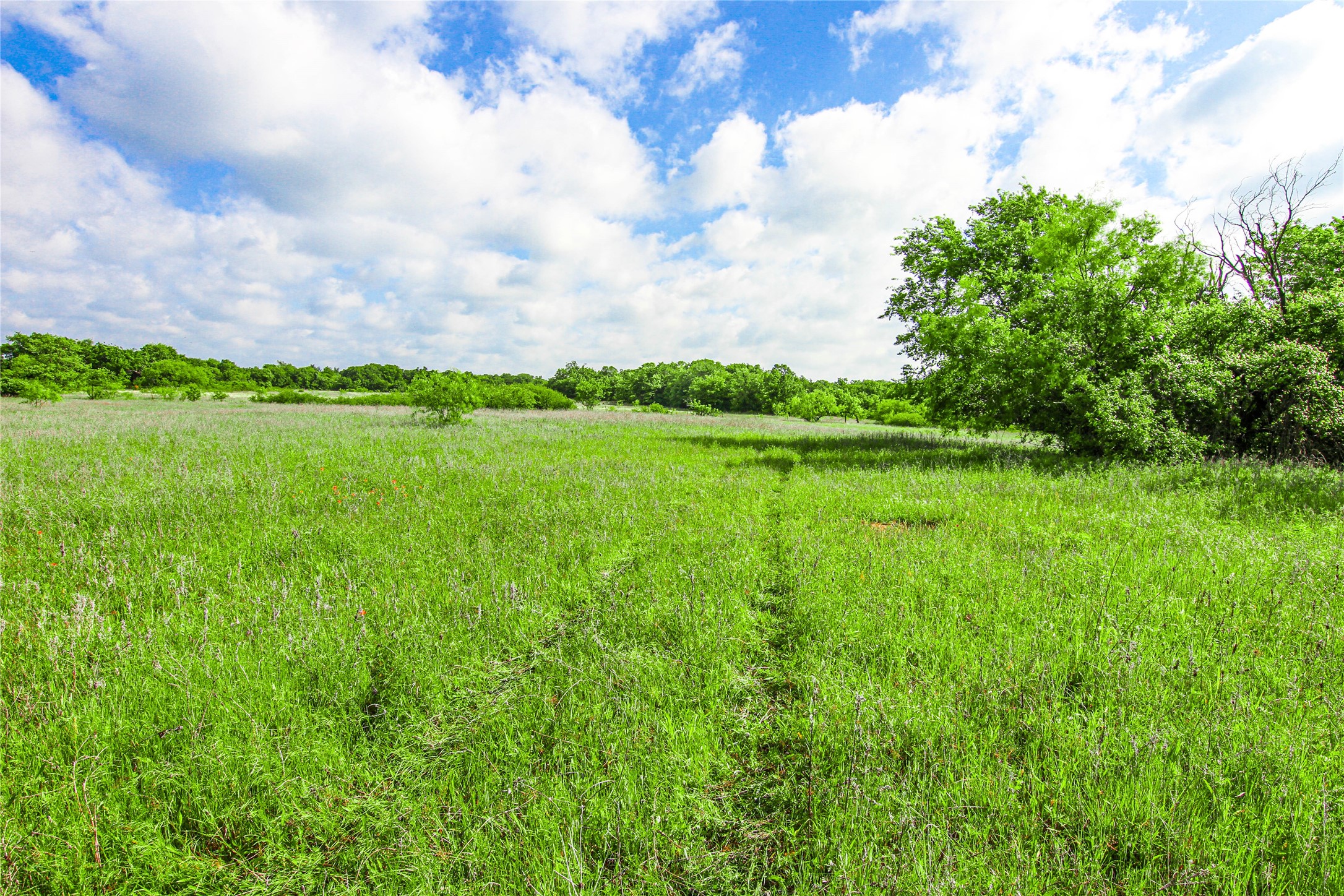 Tbd County Road 1792 Sunset TX 76270