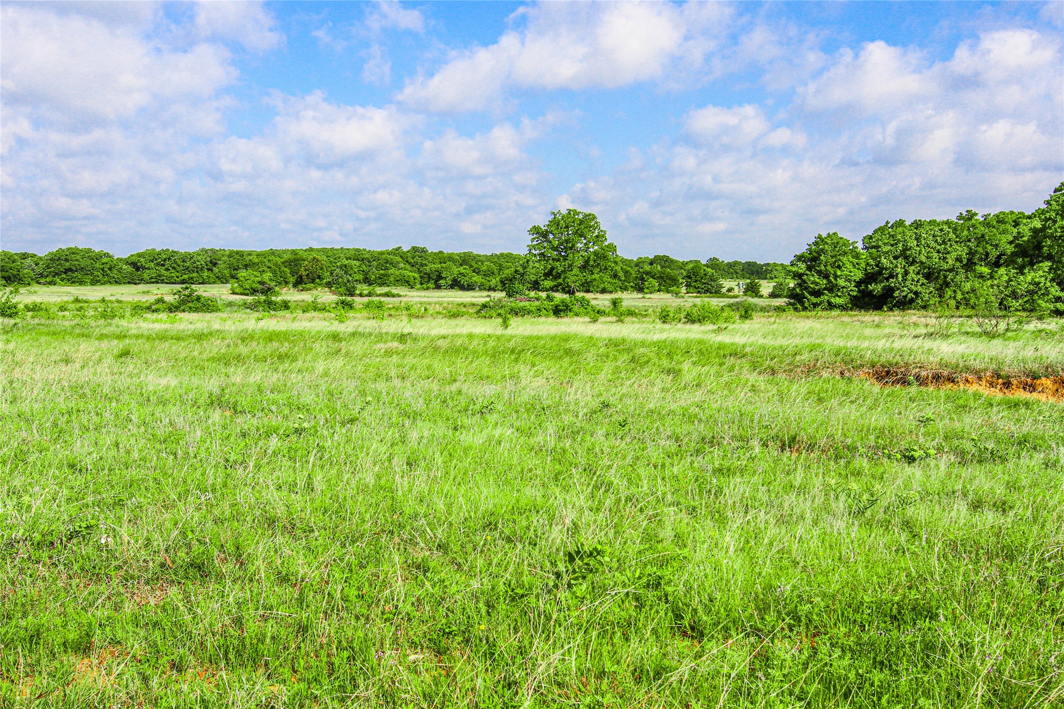 Tbd County Road 1792 Sunset TX 76270