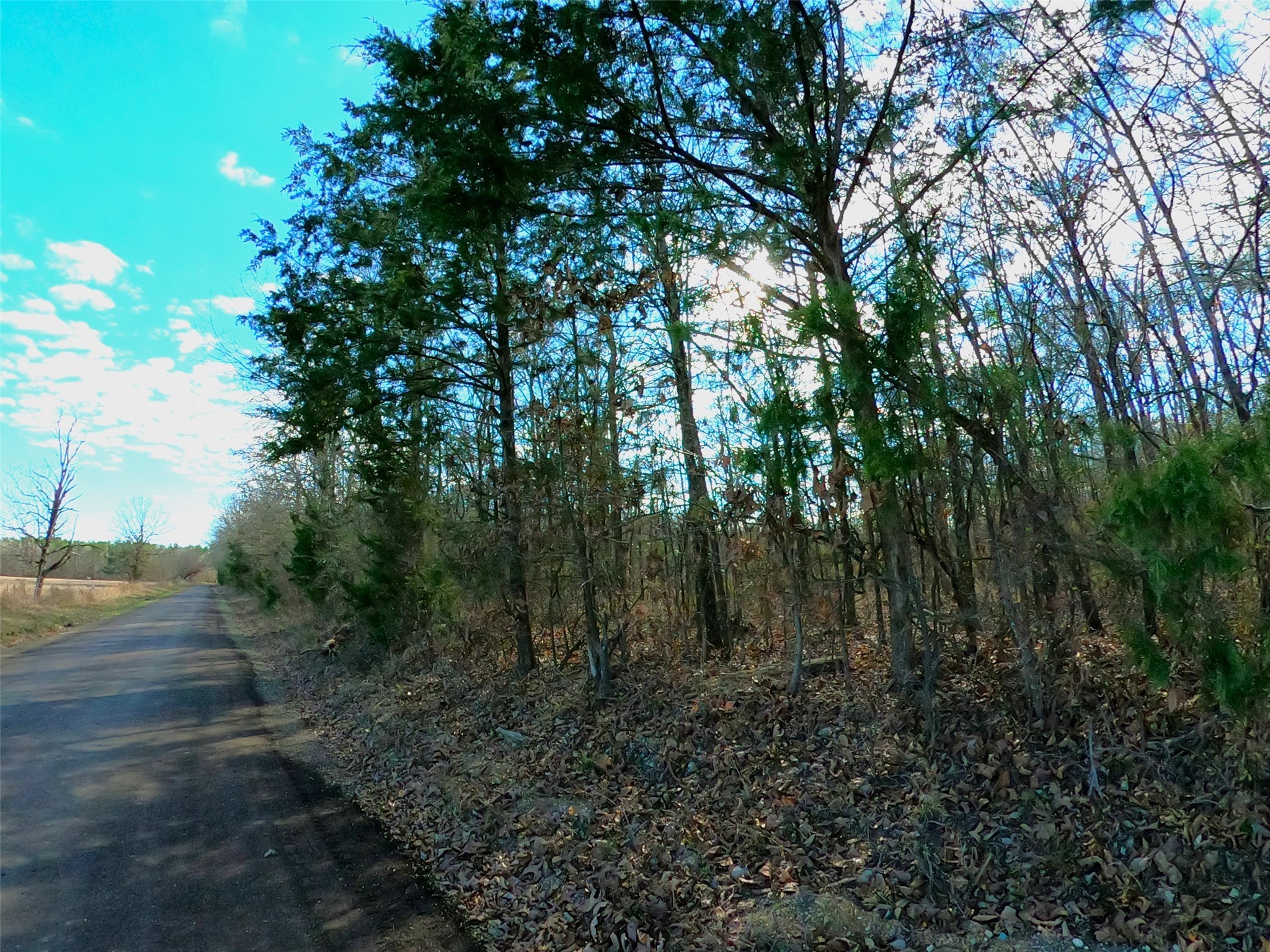 NW Cr4239 At Cr4240 Simms TX 75574