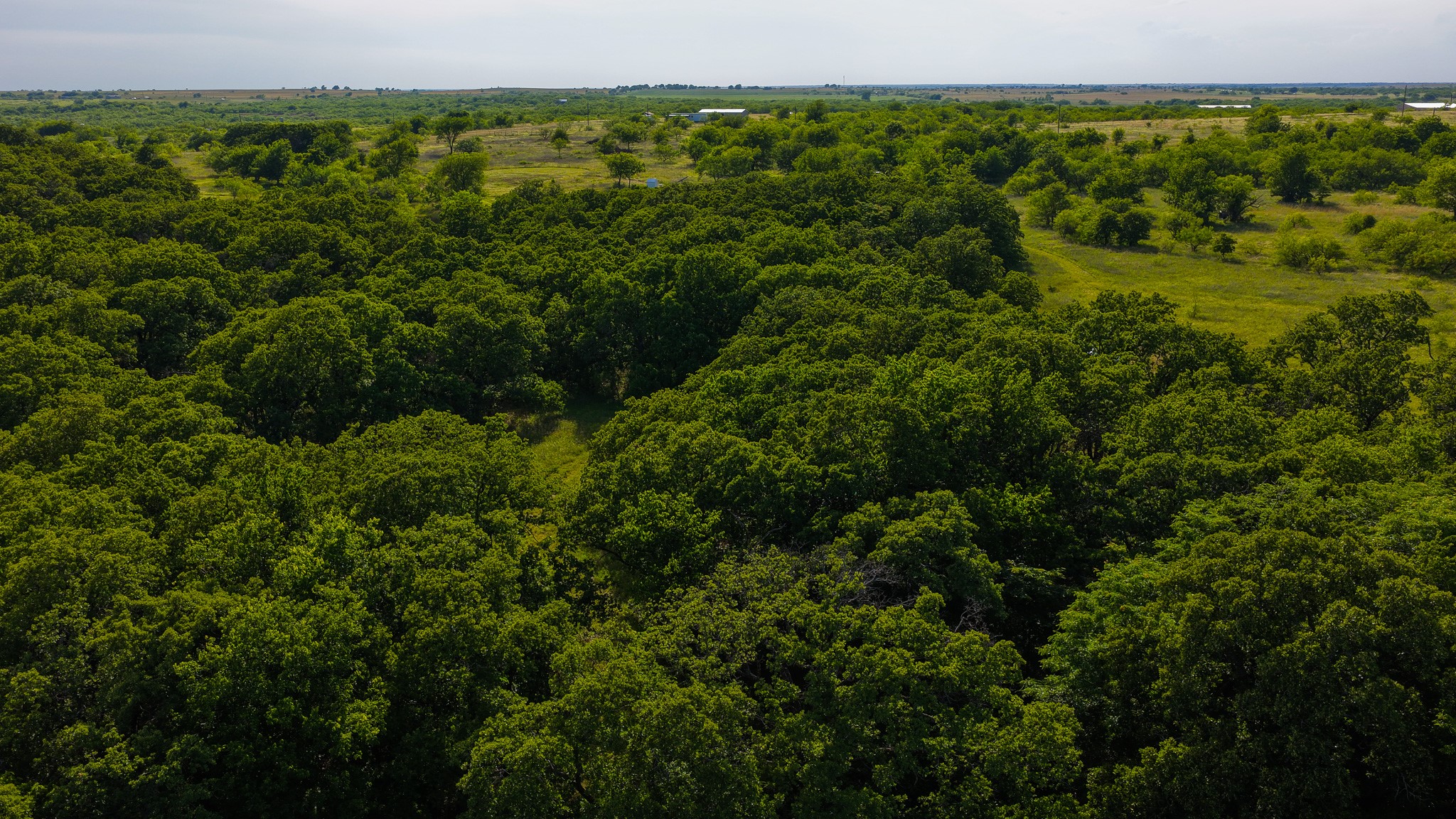 3641 Carpenter Road Nocona TX 76255