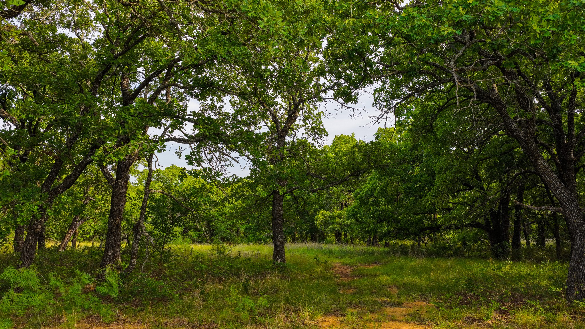 3641 Carpenter Road Nocona TX 76255