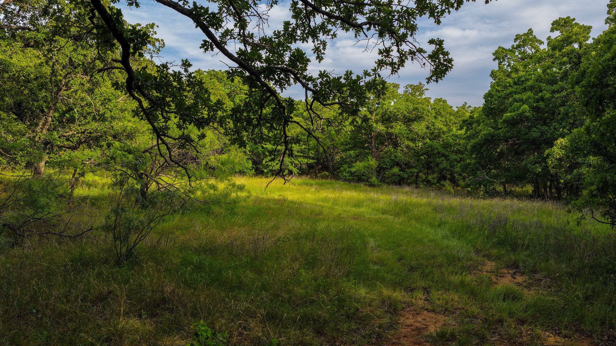 3641 Carpenter Road Nocona TX 76255
