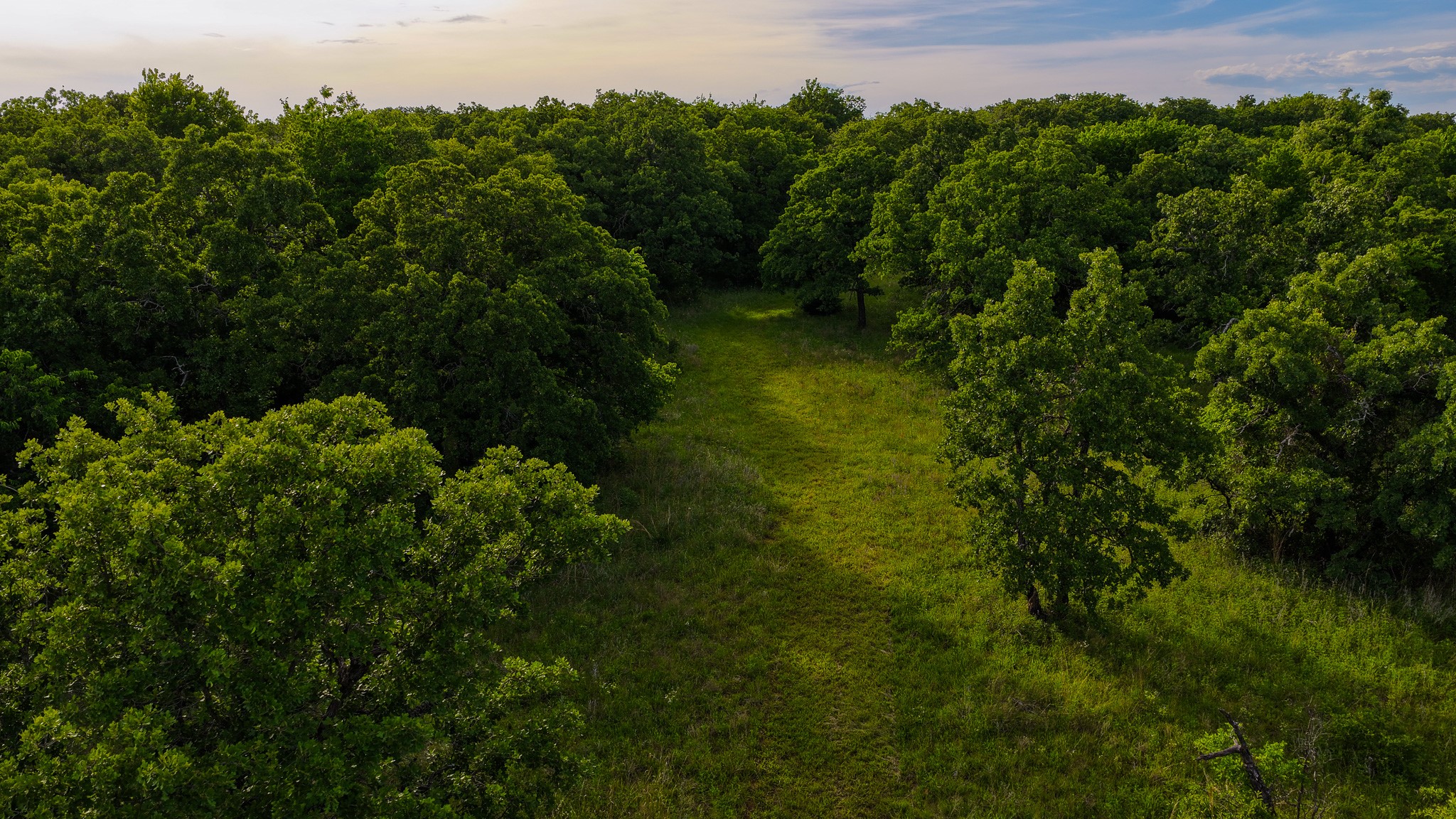 3641 Carpenter Road Nocona TX 76255