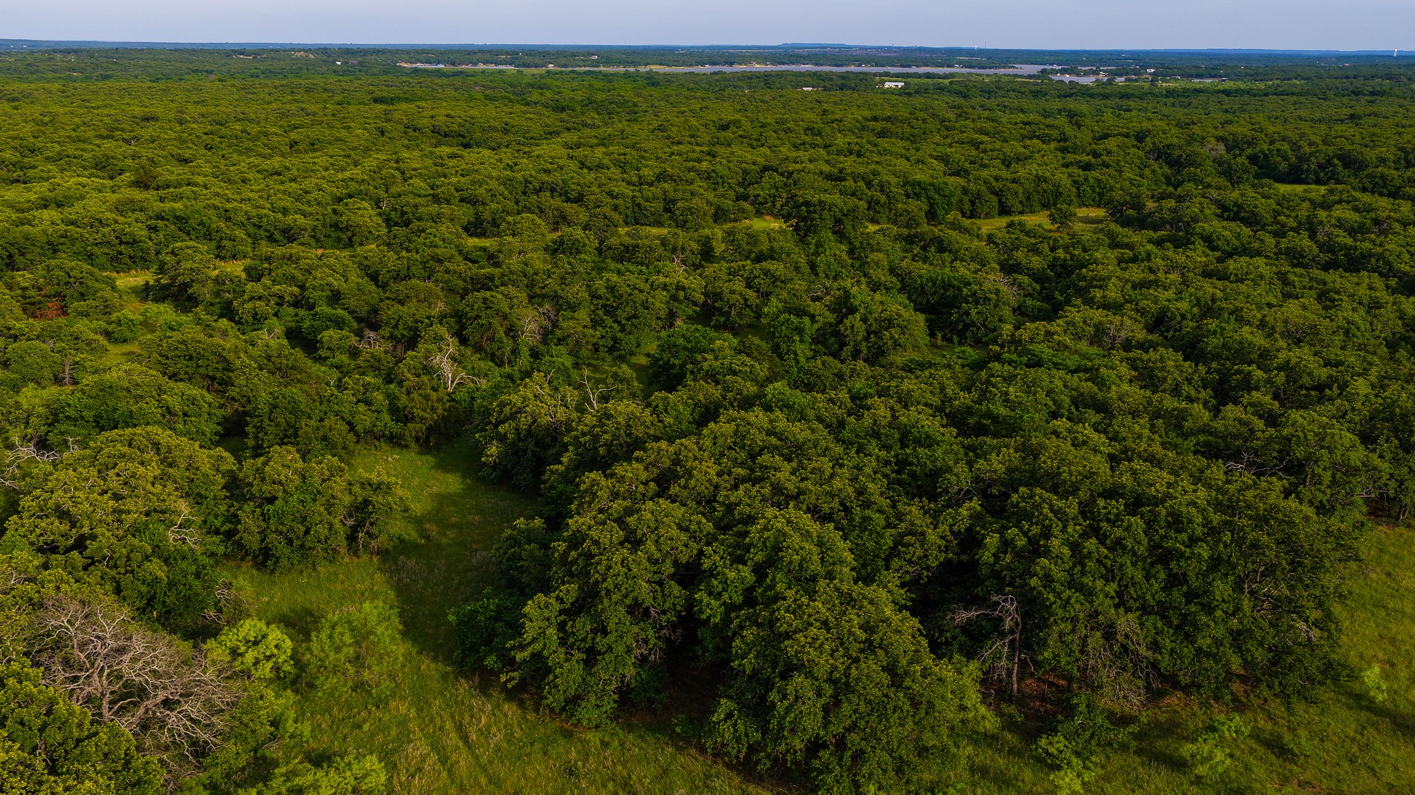 3641 Carpenter Road Nocona TX 76255