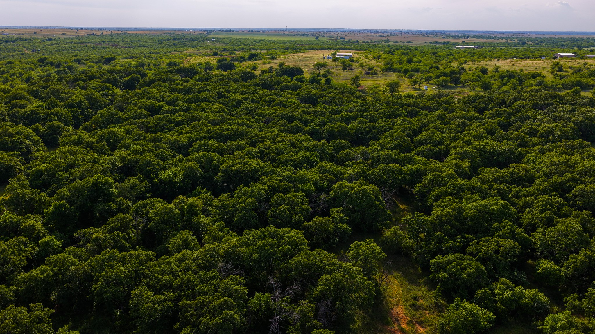 3641 Carpenter Road Nocona TX 76255