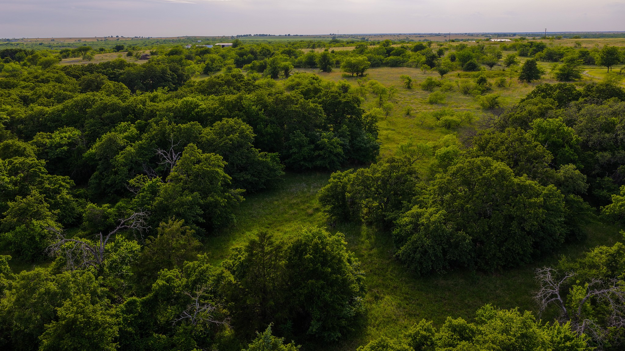 3641 Carpenter Road Nocona TX 76255