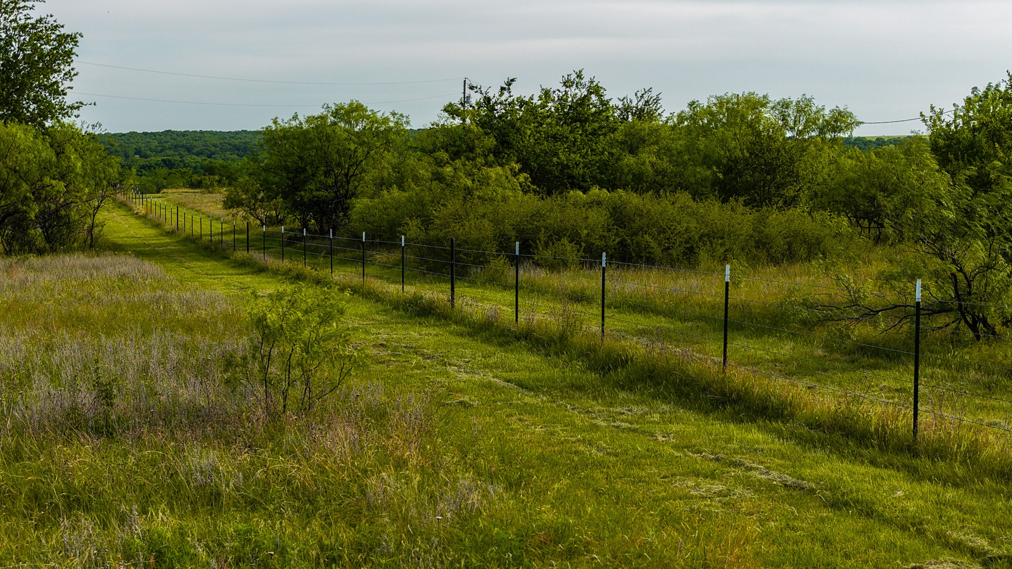 3641 Carpenter Road Nocona TX 76255