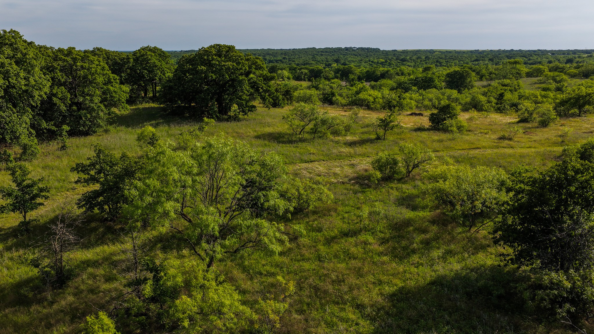 3641 Carpenter Road Nocona TX 76255