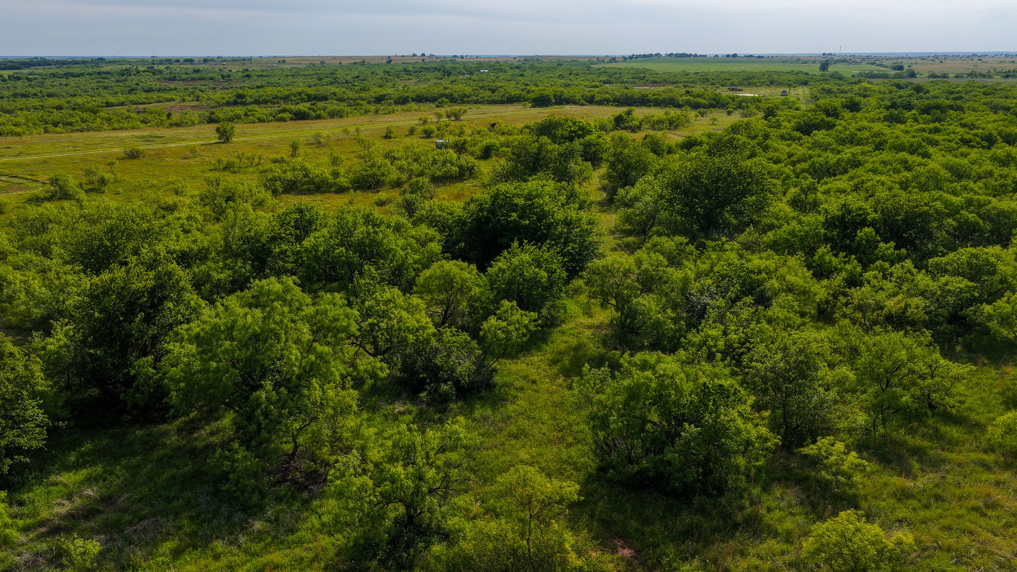 3641 Carpenter Road Nocona TX 76255