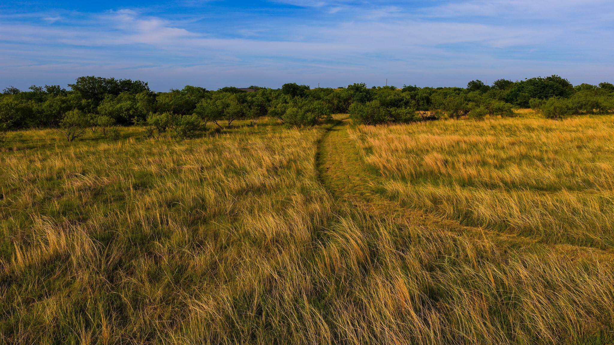 3641 Carpenter Road Nocona TX 76255