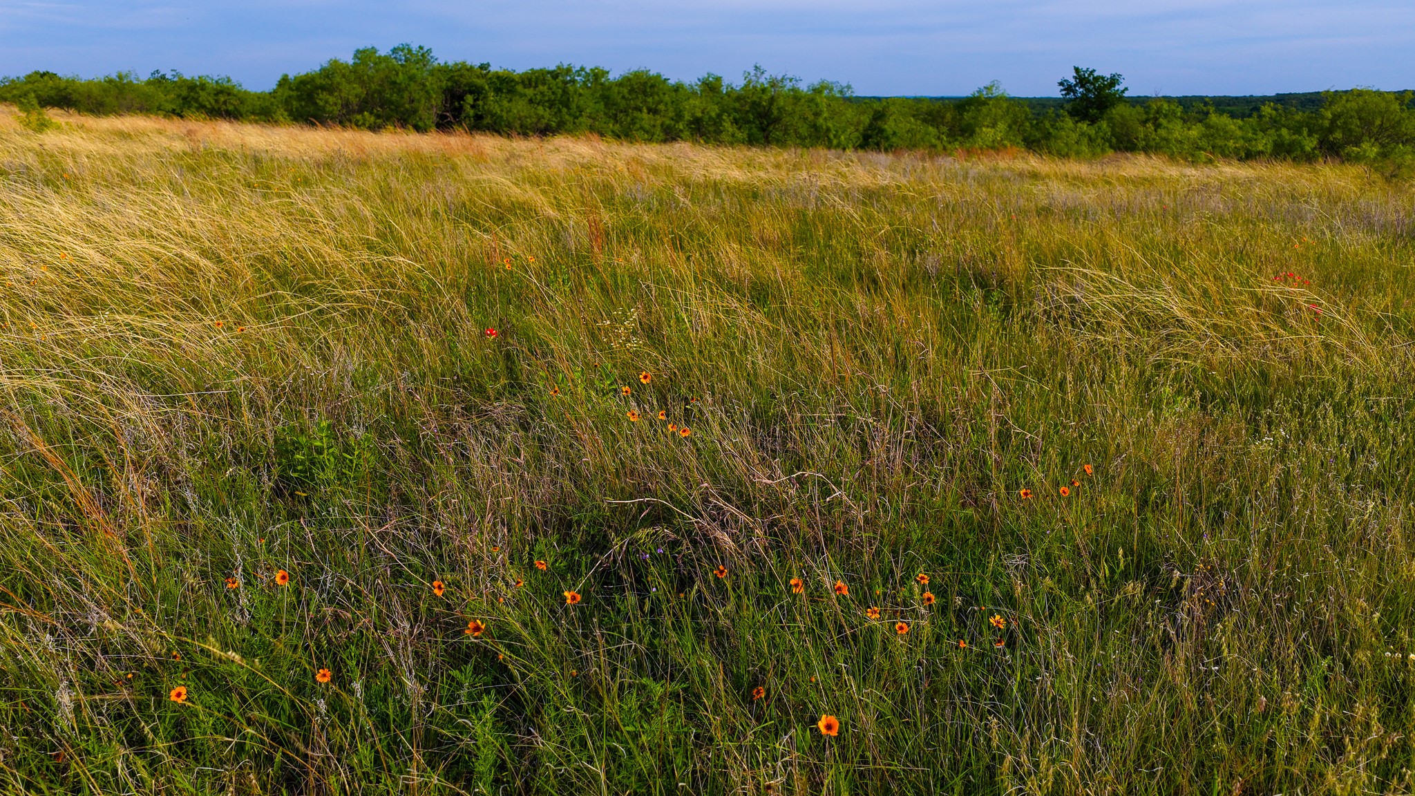 3641 Carpenter Road Nocona TX 76255