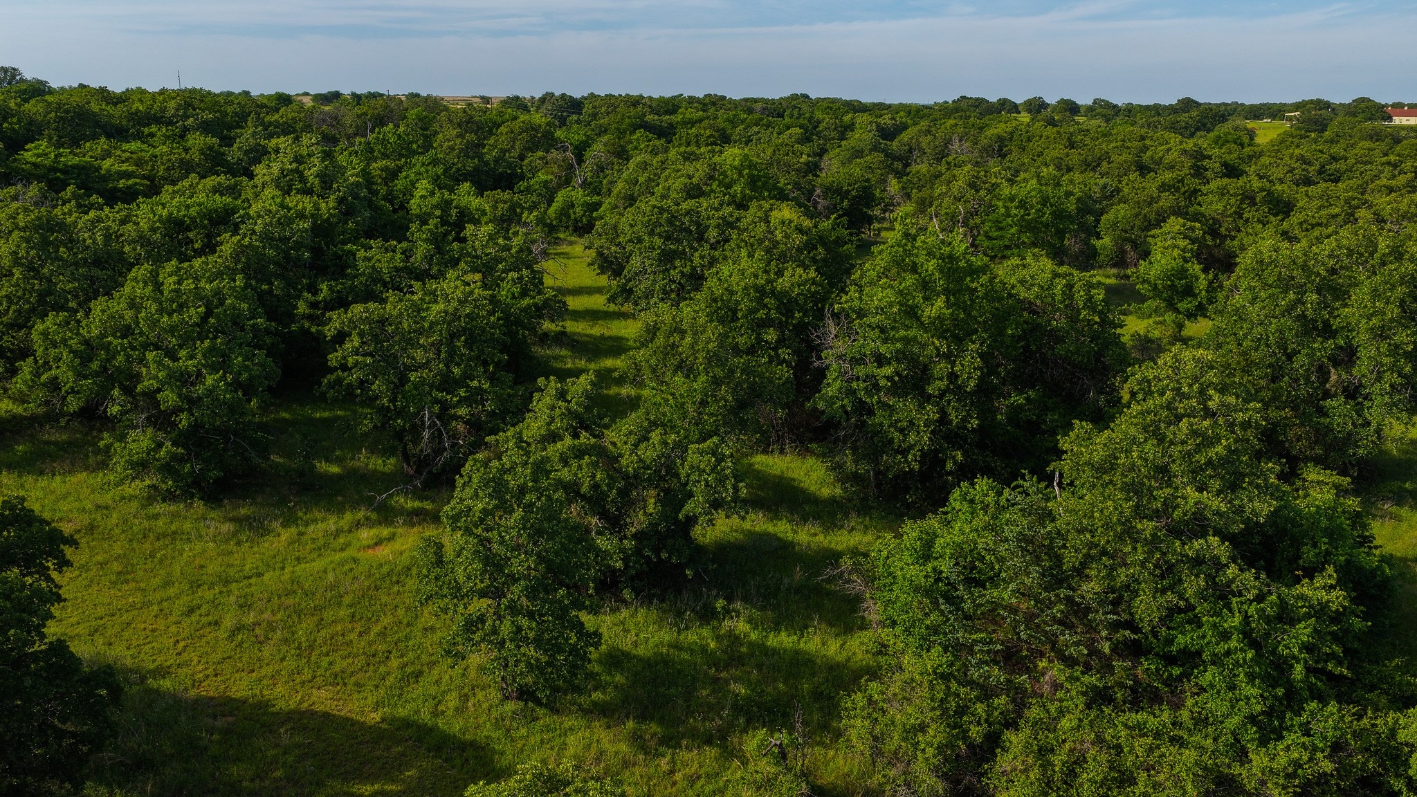 3641 Carpenter Road Nocona TX 76255