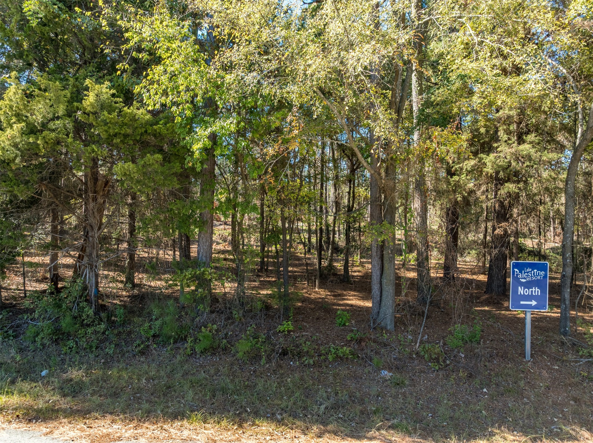 0 Pintail Drive Flint TX 75762