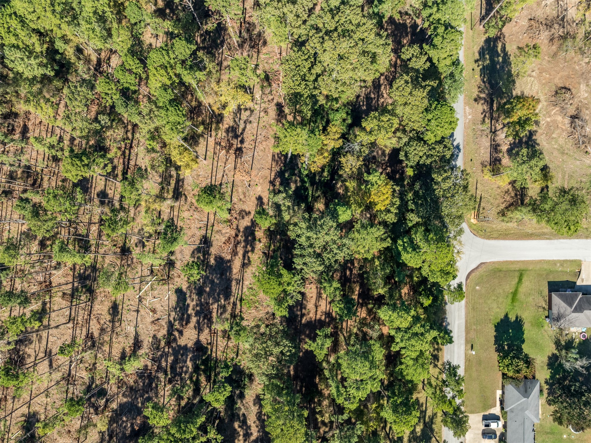 0 Pintail Drive Flint TX 75762