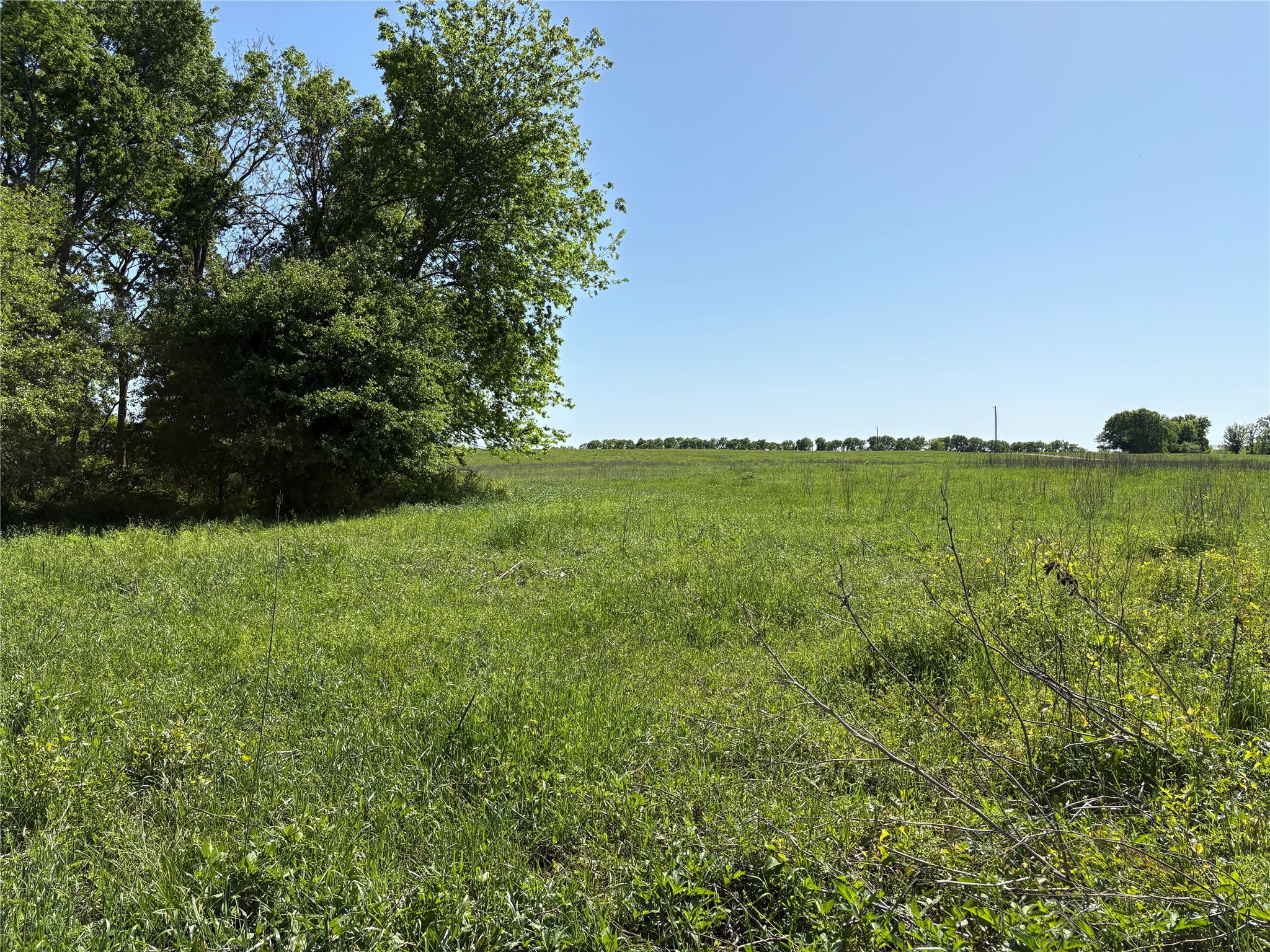 1500 Private Road 8496 Athens TX 75832