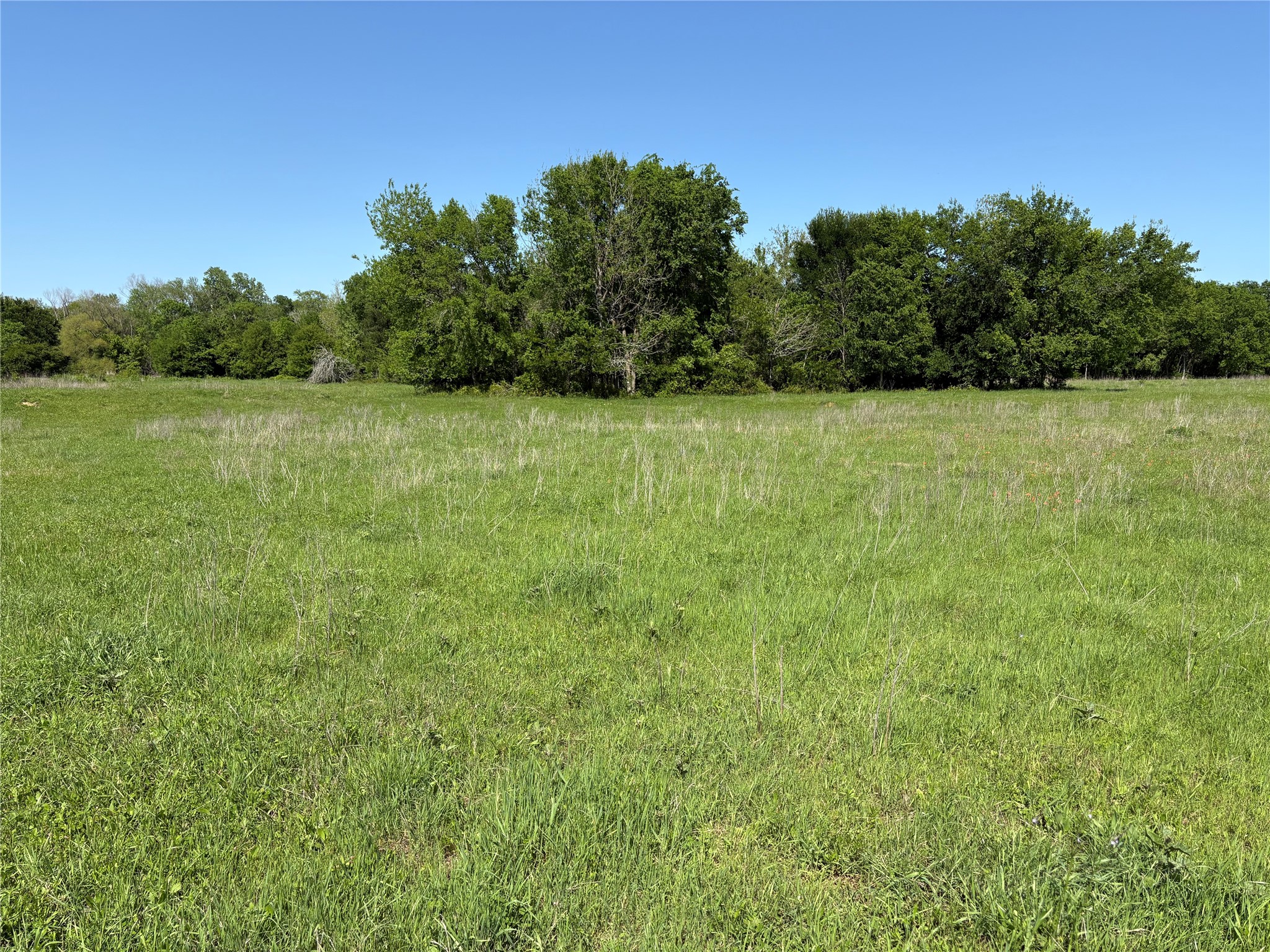 1500 Private Road 8496 Athens TX 75832