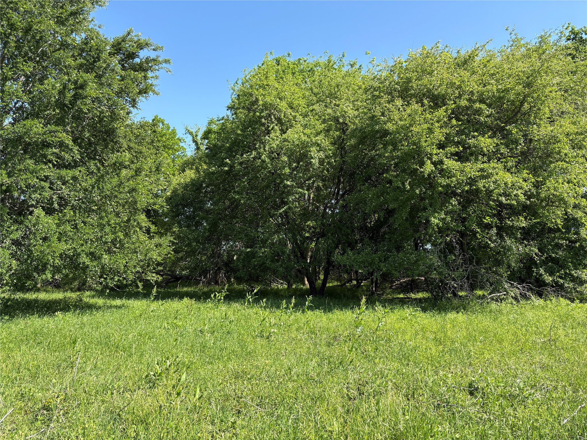 1500 Private Road 8496 Athens TX 75832