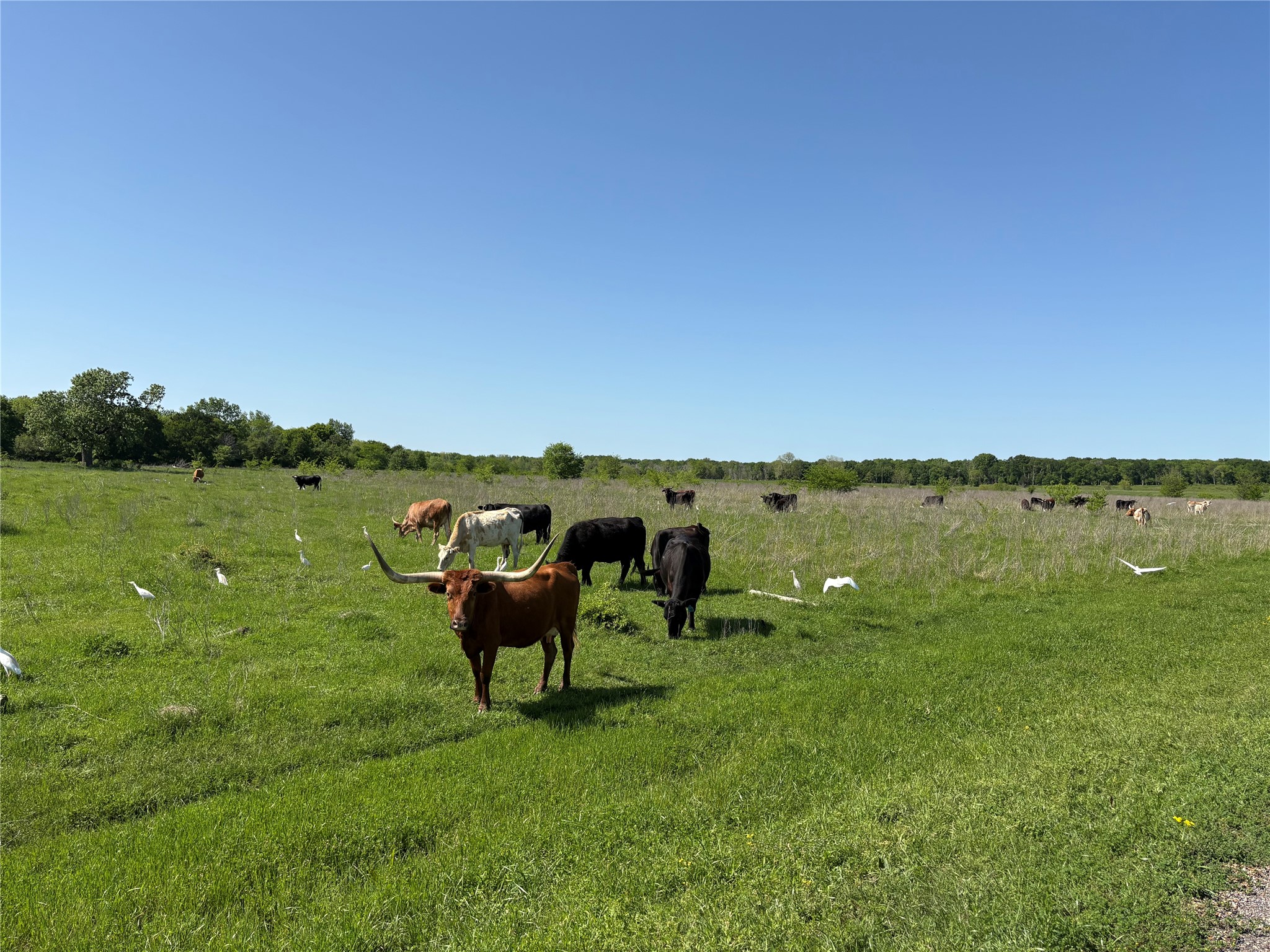 1500 Private Road 8496 Athens TX 75832