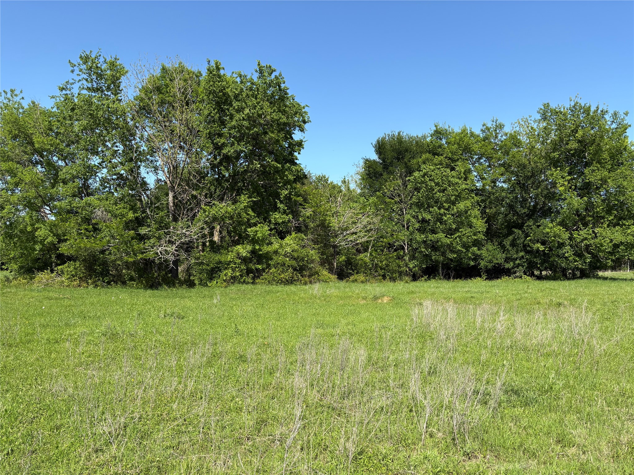 1500 Private Road 8496 Athens TX 75832