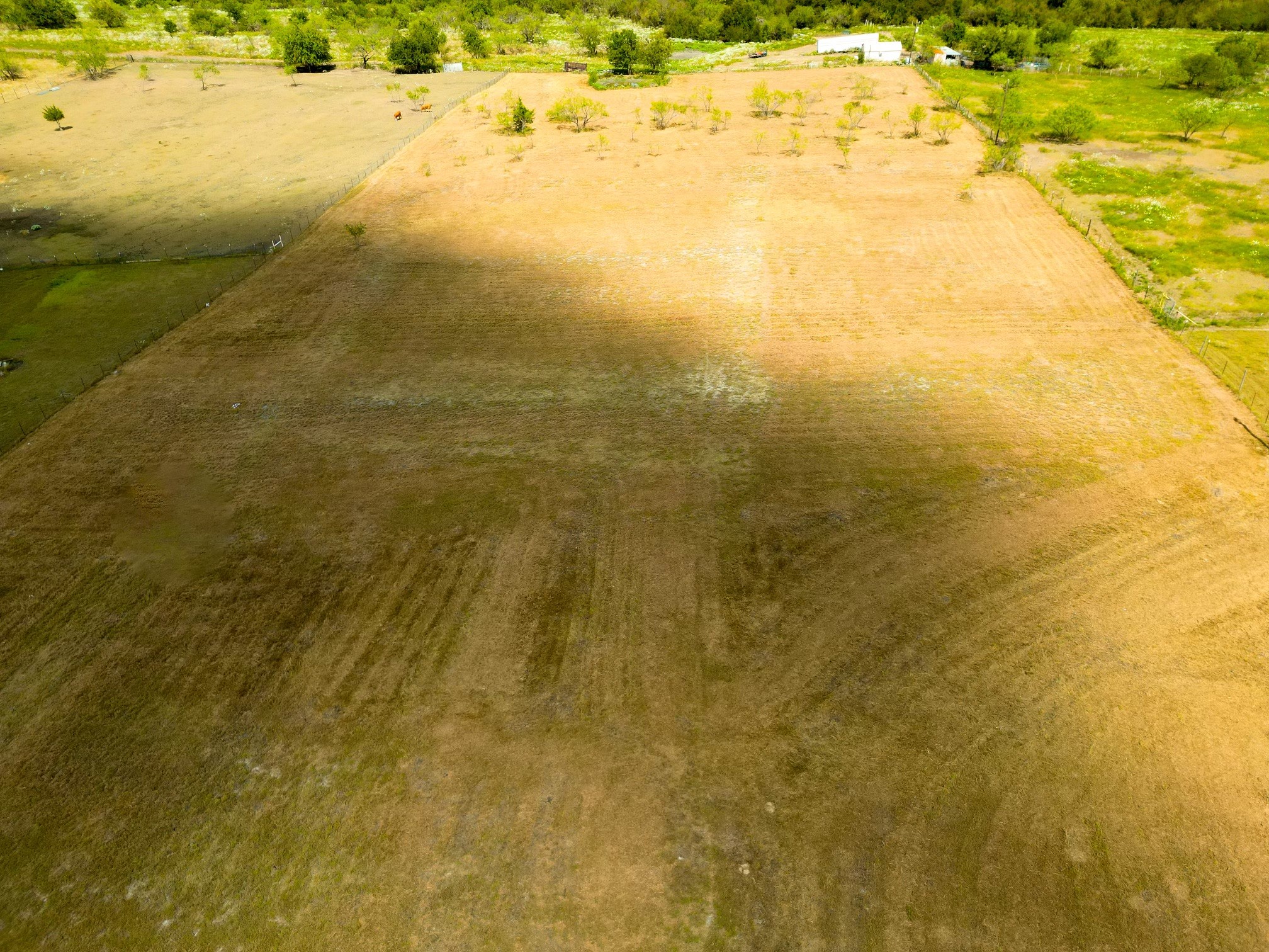 Tbd NE 1030b Rice TX 75155