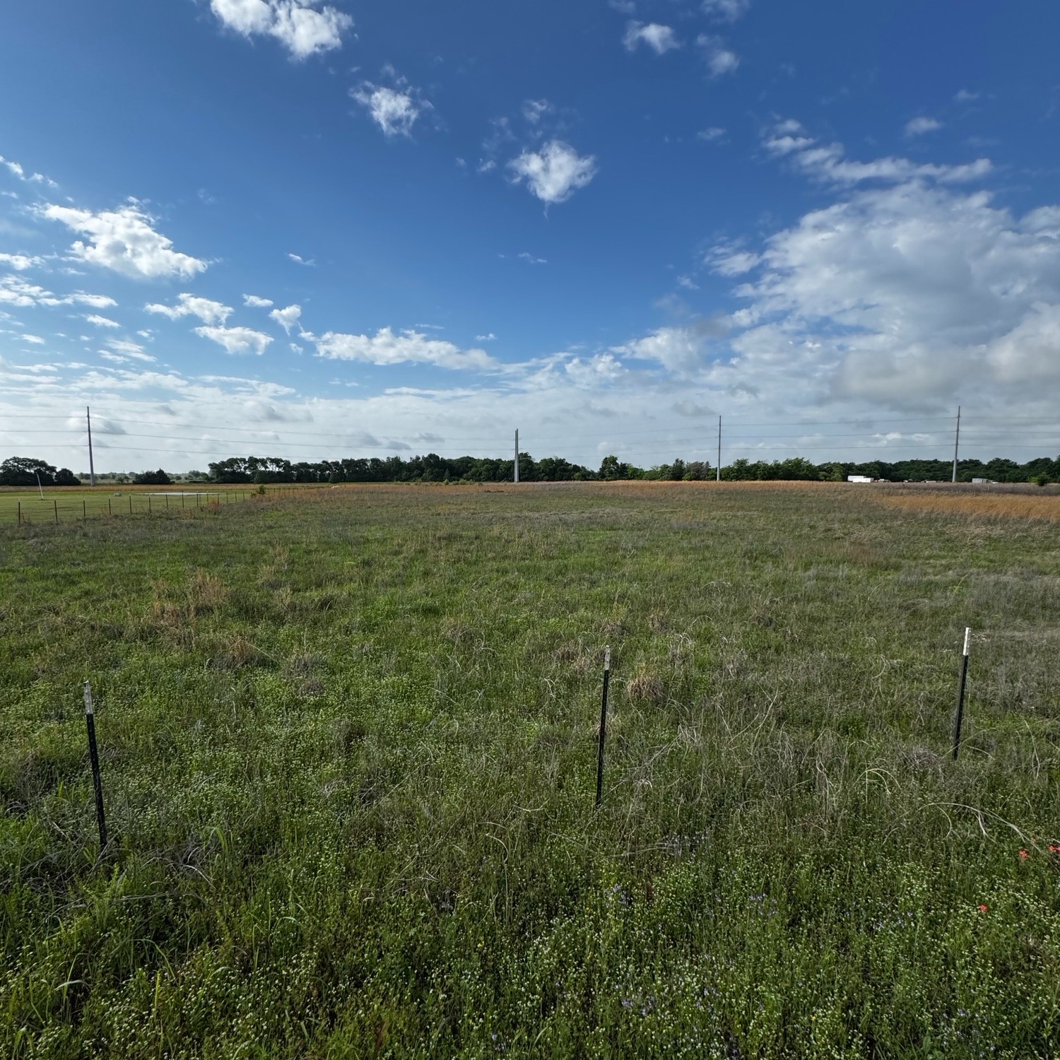 Tbd 3415 Vz County Road Wills Point TX 75169