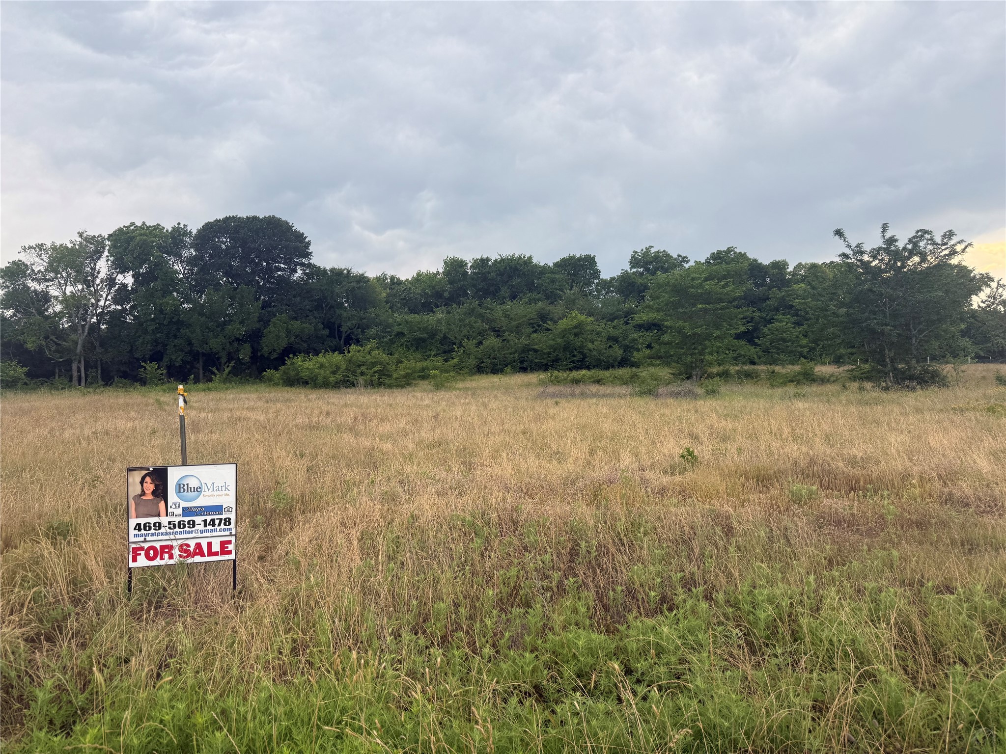 Tbd Pecan Oak Trail Wills Point TX 75080