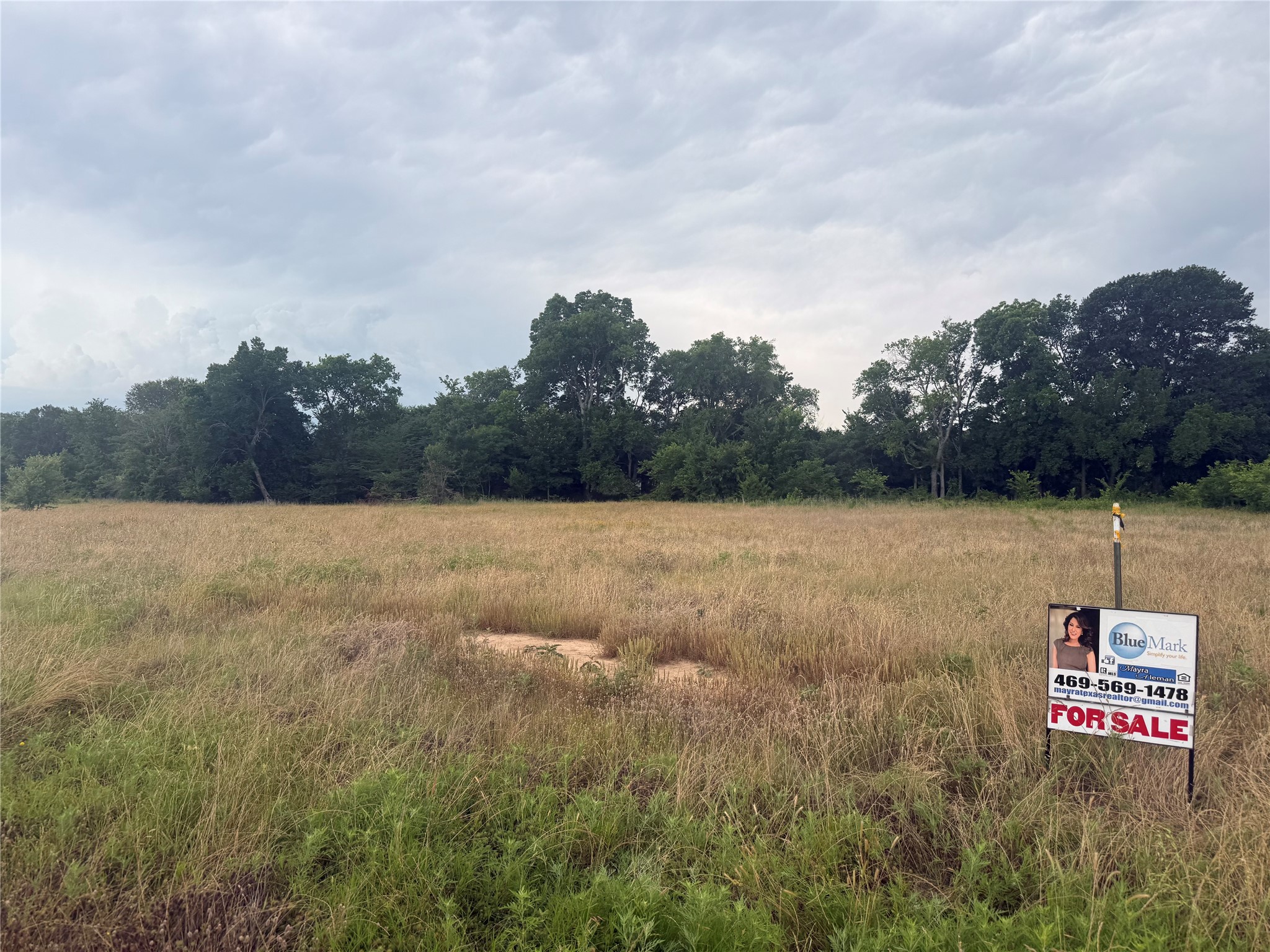 Tbd Pecan Oak Trail Wills Point TX 75080
