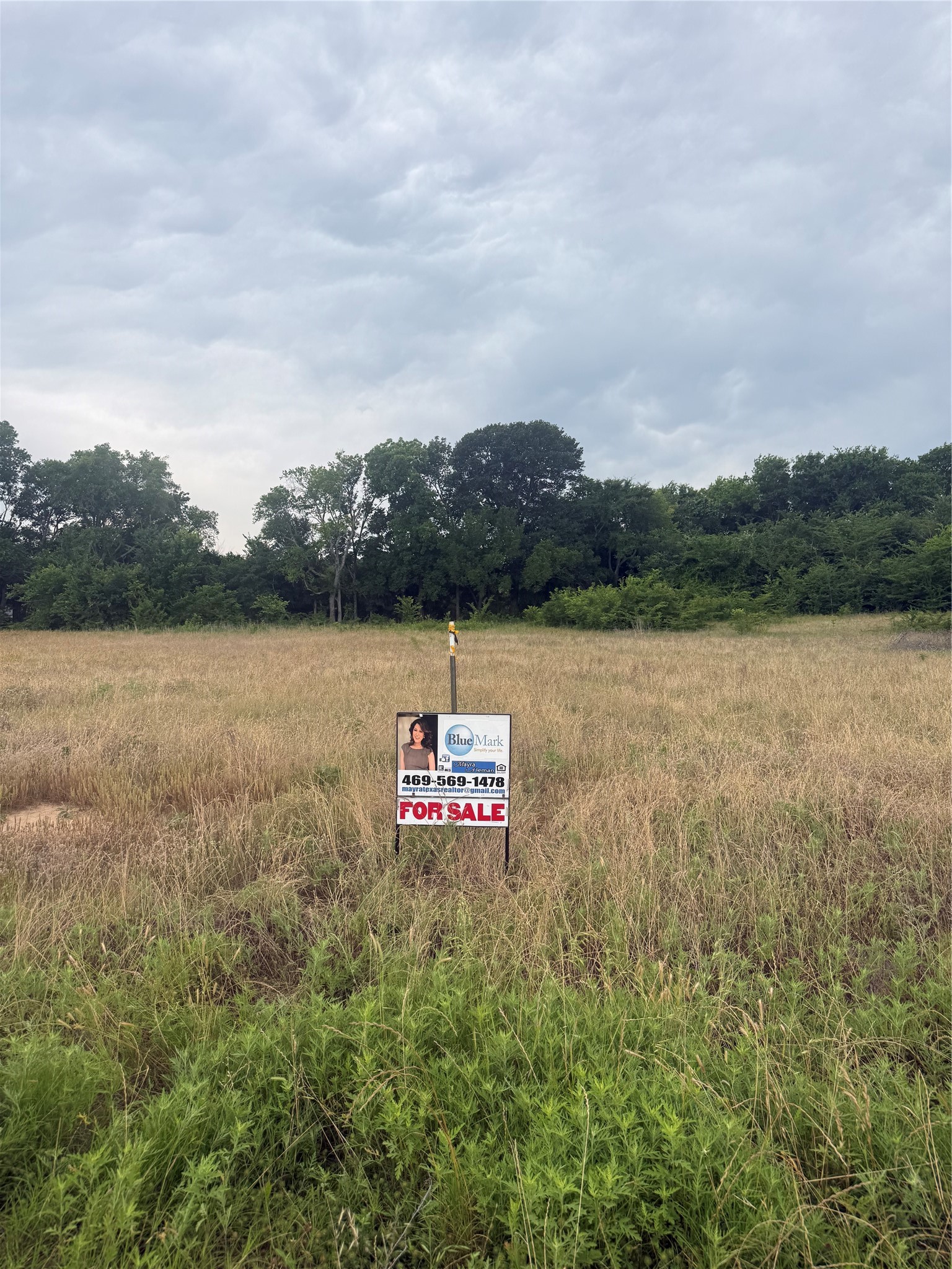 Tbd Pecan Oak Trail Wills Point TX 75080