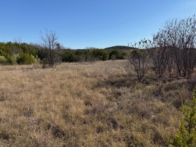 2045 Canyon Wren Loop Graford TX 76449