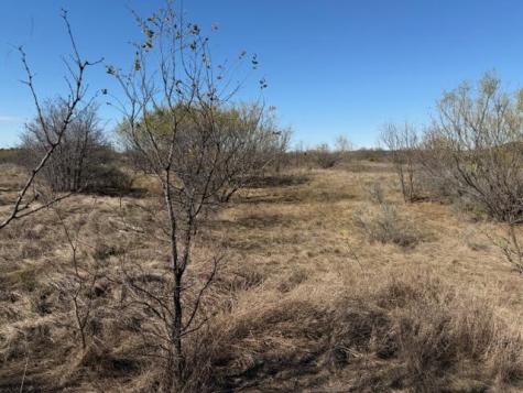 2045 Canyon Wren Loop Graford TX 76449