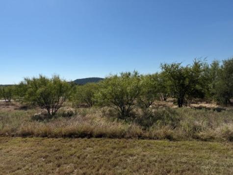 2045 Canyon Wren Loop Graford TX 76449